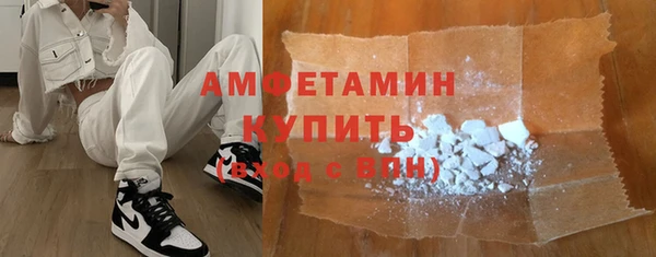 дурь Няндома