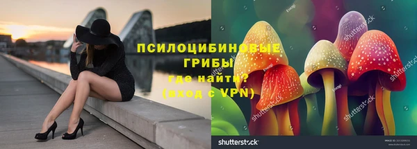 дурь Няндома