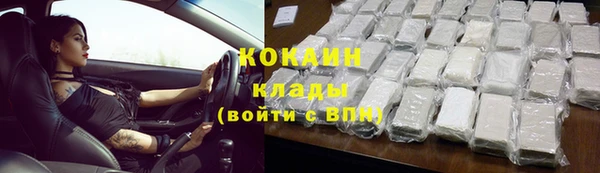дурь Няндома