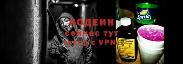 дурь Няндома