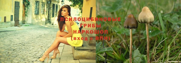 СК Нягань