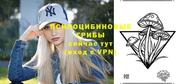 дурь Няндома