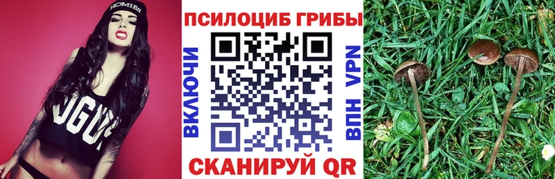 Галлюциногенные грибы Cubensis  Киселёвск 